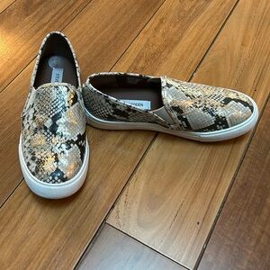 Steve Madden snake skin slip ons